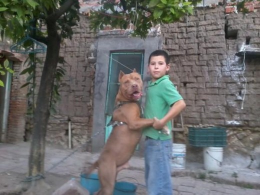 mi  hermano y mi mascota zarko